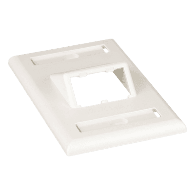Placa de Pared Vertical / 2 Puertos Mini-Com Inclinados / ABS / Blanco Mate / Con Etiquetas