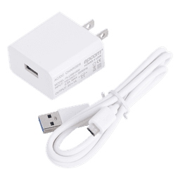 Cargador Micro-USB Profesional / 5 VCC / 1 A / Entrada 100-240 VCA / 1.94 x 1.67 x 0.96 in
