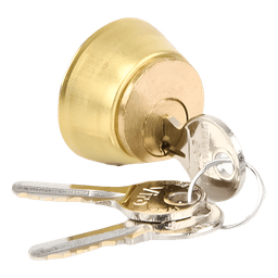 Cilindro interno para electrocerradura / Acero inoxidable / IP67 / 110V / 60W / 800 kg / 2-4 m (6.6-13.1 ft)