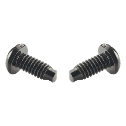 Tornillo para Rack / #12-24 / 13 mm (0.5 ft) / Acero / 100 pz